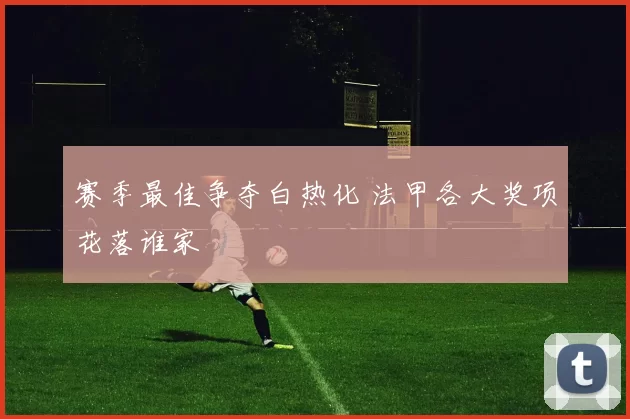 赛季最佳争夺白热化 法甲各大奖项花落谁家