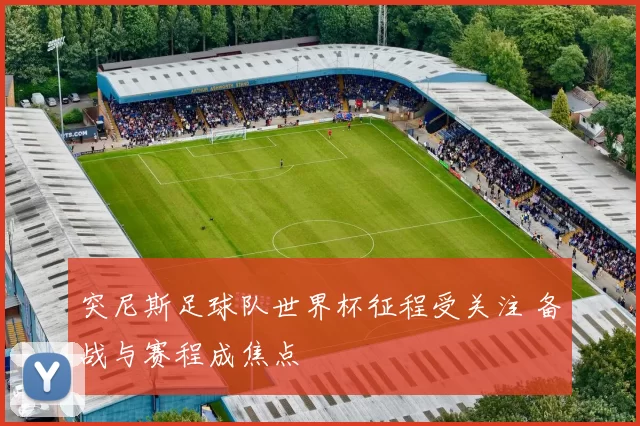 突尼斯足球队世界杯征程受关注 备战与赛程成焦点