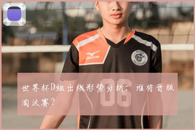 世界杯D组出线形势分析:谁将晋级淘汰赛?