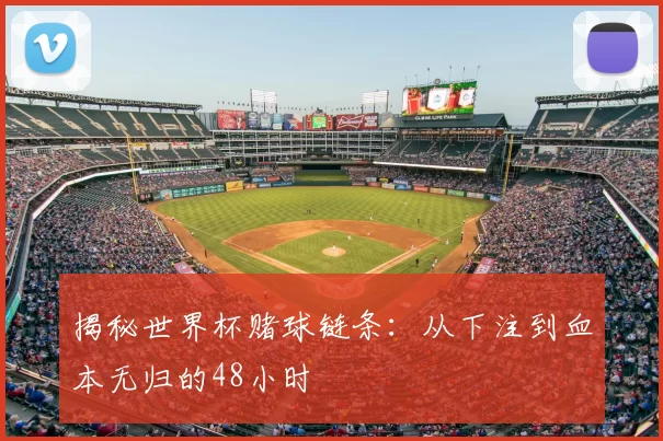 揭秘世界杯赌球链条：从下注到血本无归的48小时