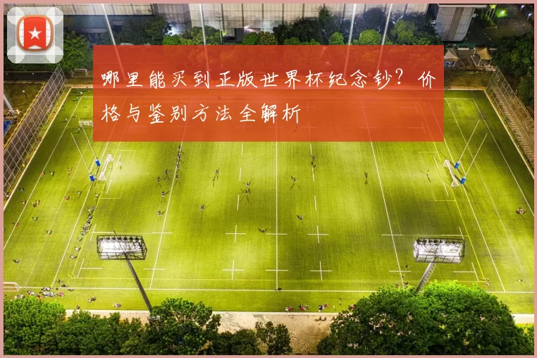 哪里能买到正版世界杯纪念钞?价格与鉴别方法全解析