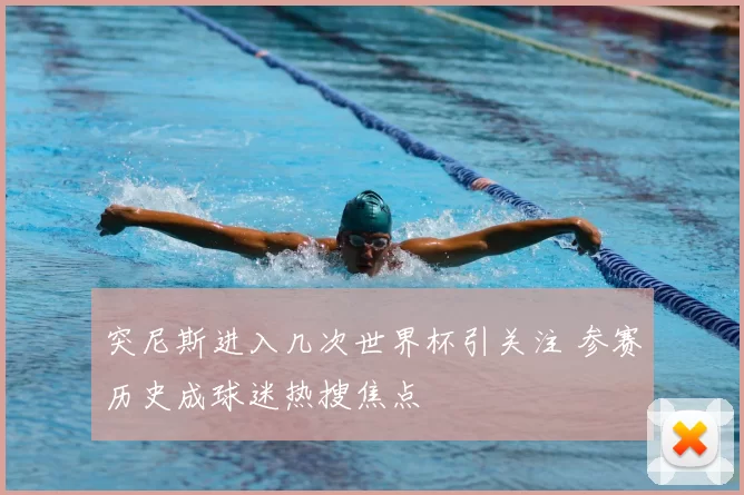突尼斯进入几次世界杯引关注 参赛历史成球迷热搜焦点