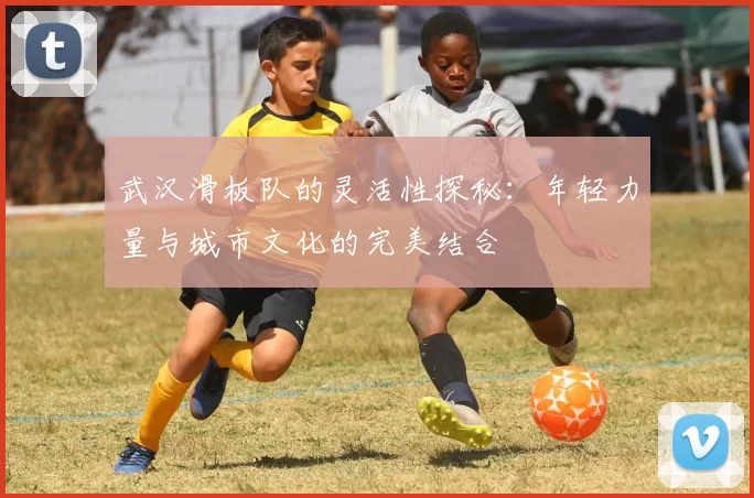 武汉滑板队的灵活性探秘：年轻力量与城市文化的完美结合