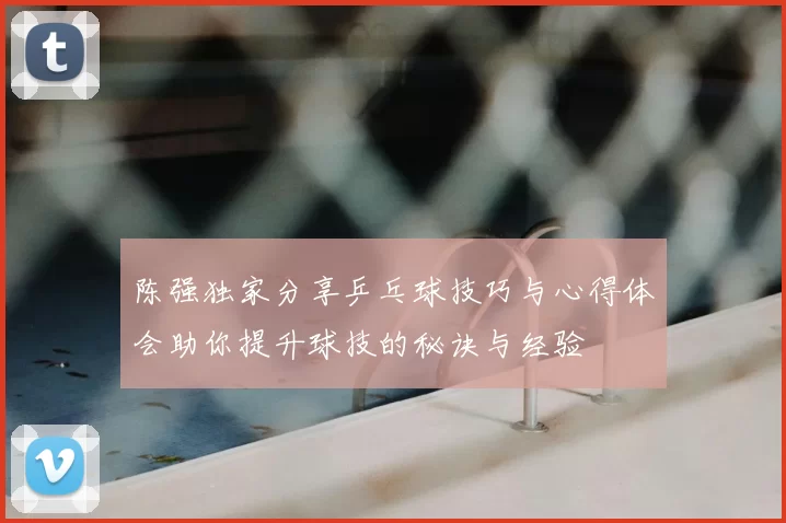 陈强独家分享乒乓球技巧与心得体会助你提升球技的秘诀与经验