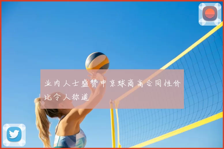 业内人士盛赞申京球商高合同性价比令人称道