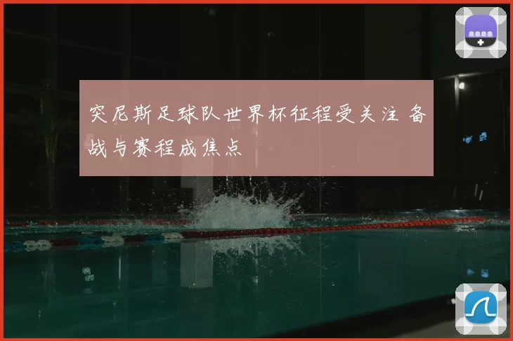 突尼斯足球队世界杯征程受关注 备战与赛程成焦点