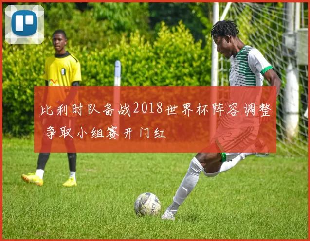 比利时队备战2018世界杯阵容调整 争取小组赛开门红