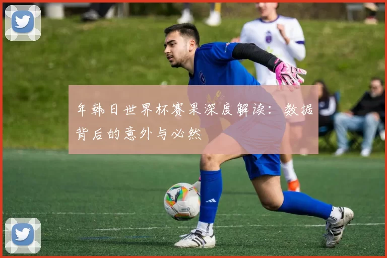 年韩日世界杯赛果深度解读：数据背后的意外与必然