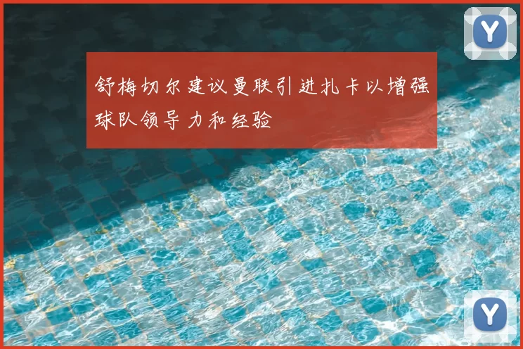 舒梅切尔建议曼联引进扎卡以增强球队领导力和经验