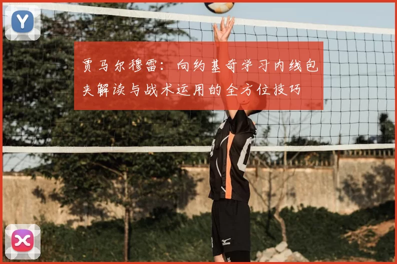 贾马尔穆雷：向约基奇学习内线包夹解读与战术运用的全方位技巧