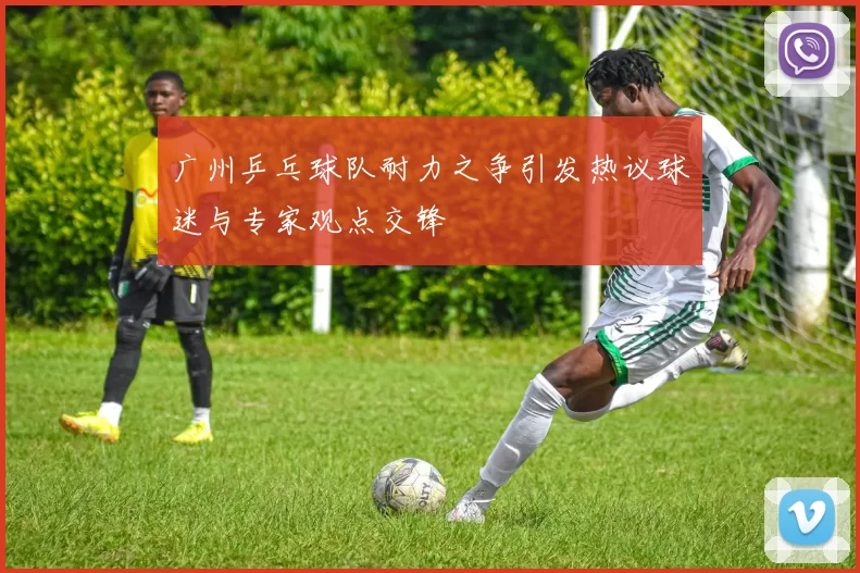 广州乒乓球队耐力之争引发热议球迷与专家观点交锋