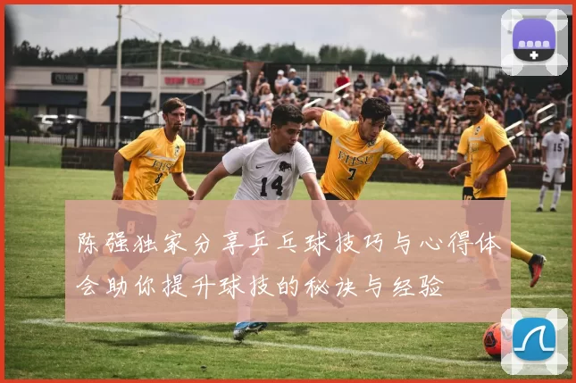 陈强独家分享乒乓球技巧与心得体会助你提升球技的秘诀与经验