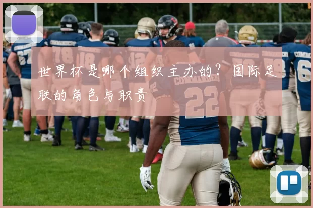 世界杯是哪个组织主办的?国际足联的角色与职责