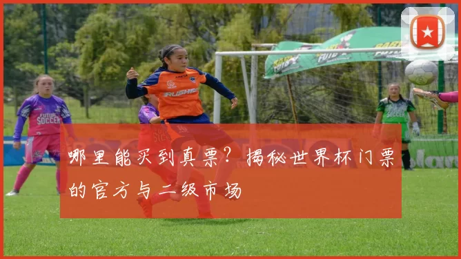 哪里能买到真票？揭秘世界杯门票的官方与二级市场